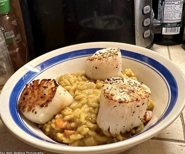 Risotto alla pescatora del Cainone